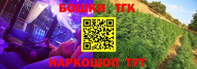 эйфоретик Славгород